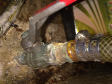 [Immagine: 2013318203923_Copia di Immagine 021.JPG]